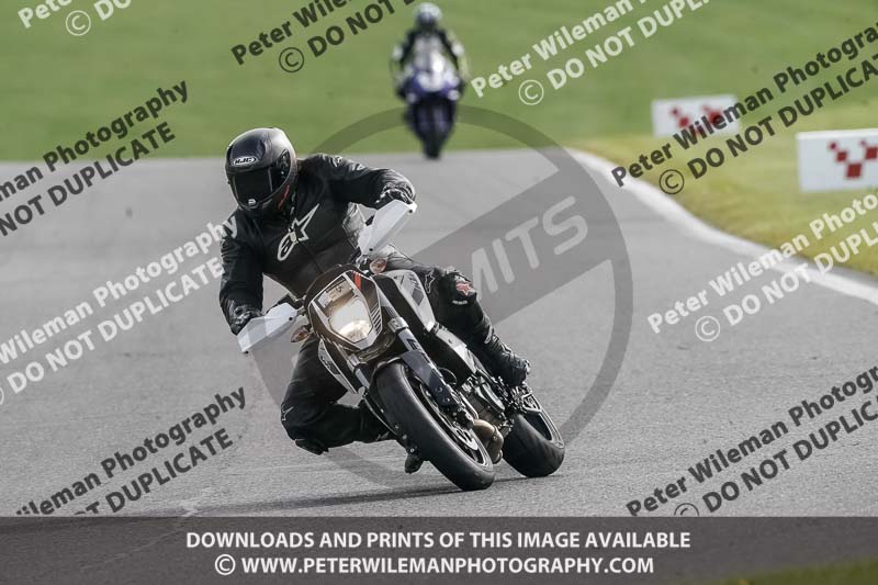 cadwell no limits trackday;cadwell park;cadwell park photographs;cadwell trackday photographs;enduro digital images;event digital images;eventdigitalimages;no limits trackdays;peter wileman photography;racing digital images;snetterton;snetterton no limits trackday;snetterton photographs;snetterton trackday photographs;trackday digital images;trackday photos